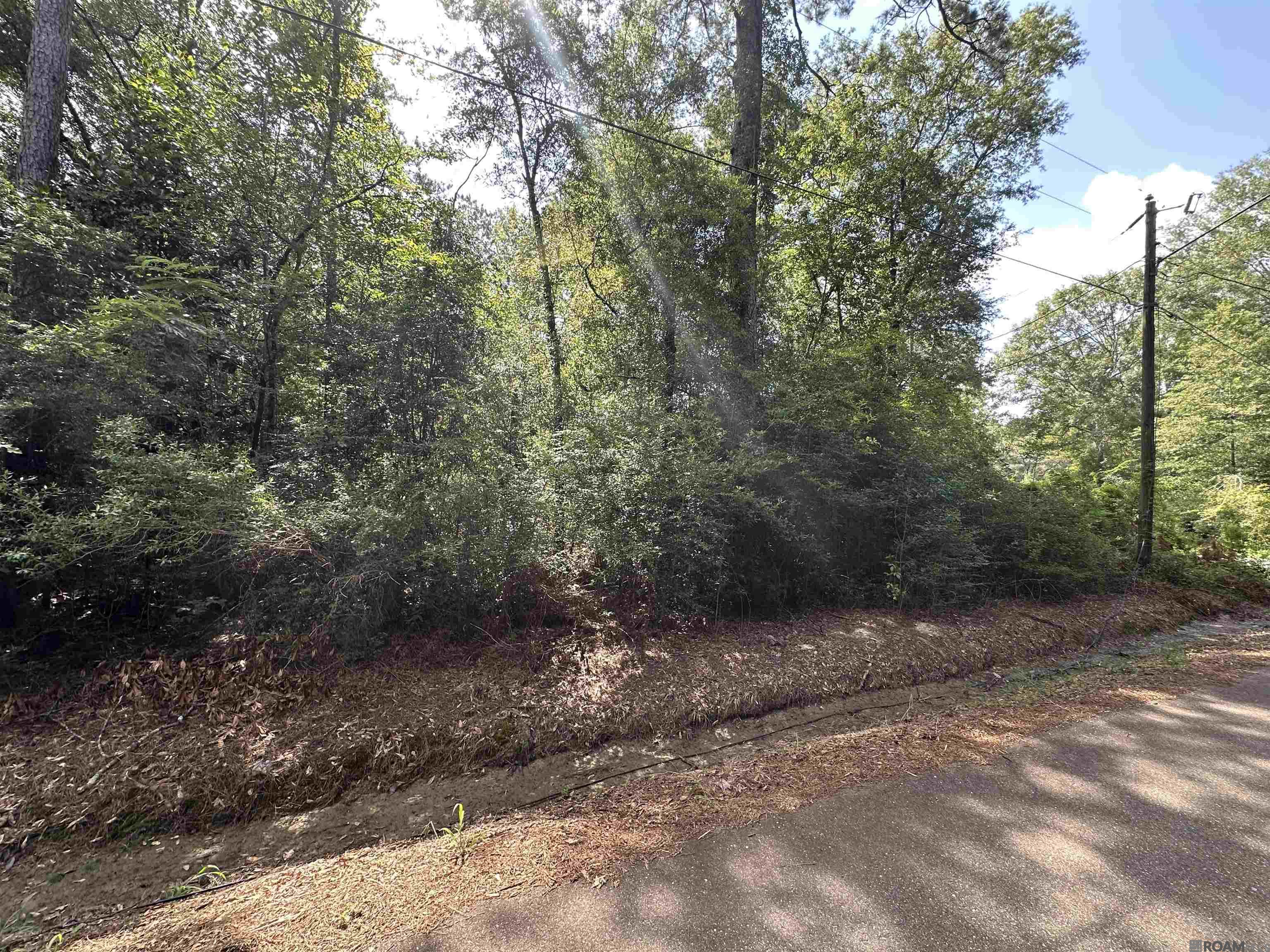 23547 Heritage Acres Ln, Robert, Louisiana image 20