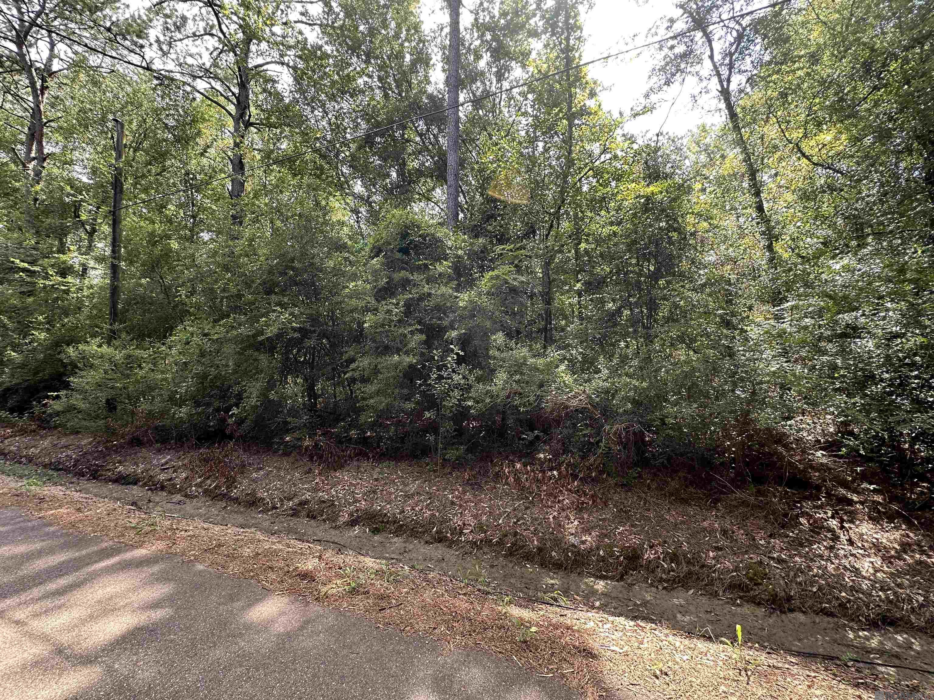 23547 Heritage Acres Ln, Robert, Louisiana image 21