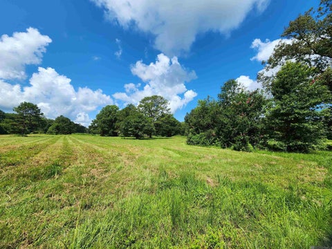 Vacant Land For Sale - TBD La Hwy 956<br/> Ethel, LA 70730