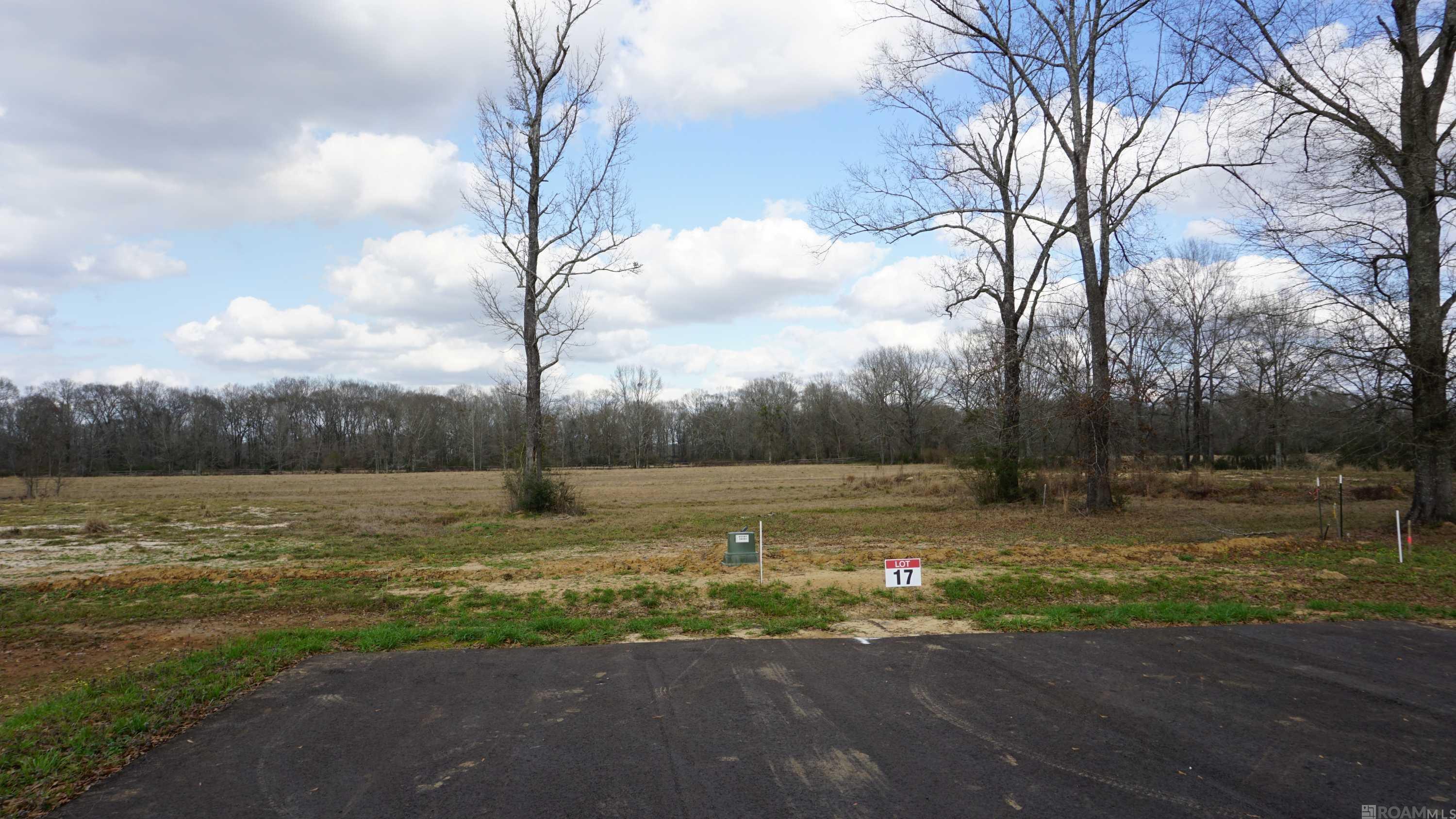 GranLake Lot 15 La Hwy 68, Jackson, Louisiana image 18