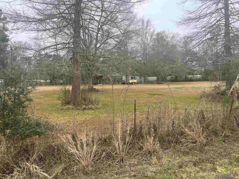 Vacant Land For Sale - TBD10 Pat's Lane<br/> Springfield, LA 70462