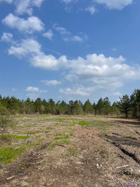 Vacant Land For Sale - TRACT 14 Lorin Wall Rd<br/> Holden, LA 70774
