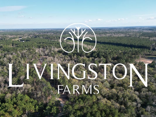 LIVINGSTON, ALBANY, LA 70711 - Image 112bfca5d9e8d6d2cc544ef6dc0d646f/1950714675