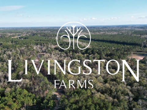 Vacant Land For Sale - LOT 6 Livingston Farms Lane<br/> Livingston, LA 70754