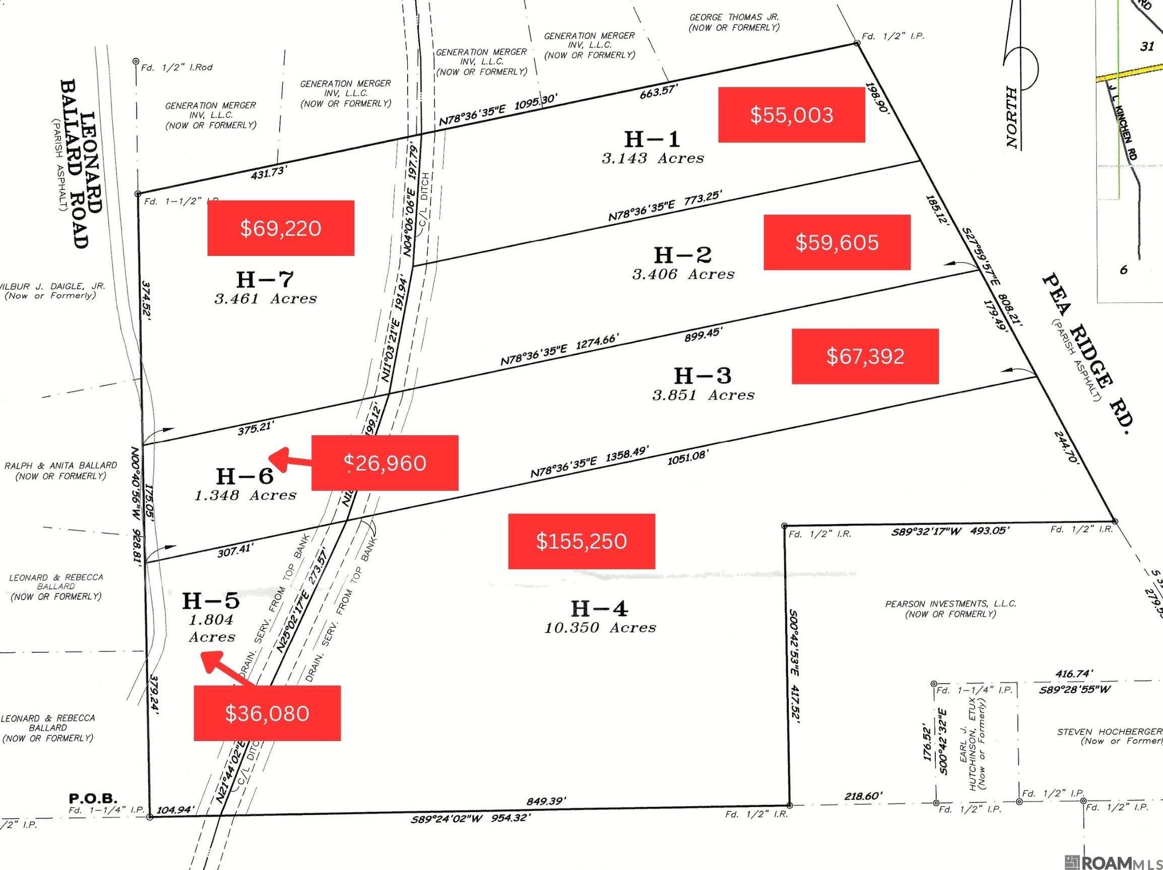 TBD H-6 Pea Ridge Rd, Albany, Louisiana image 2