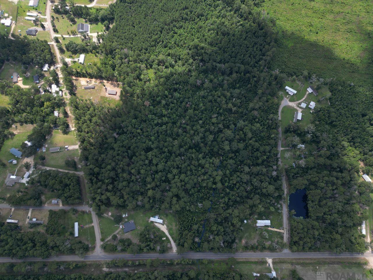 TBD H-6 Pea Ridge Rd, Albany, Louisiana image 5