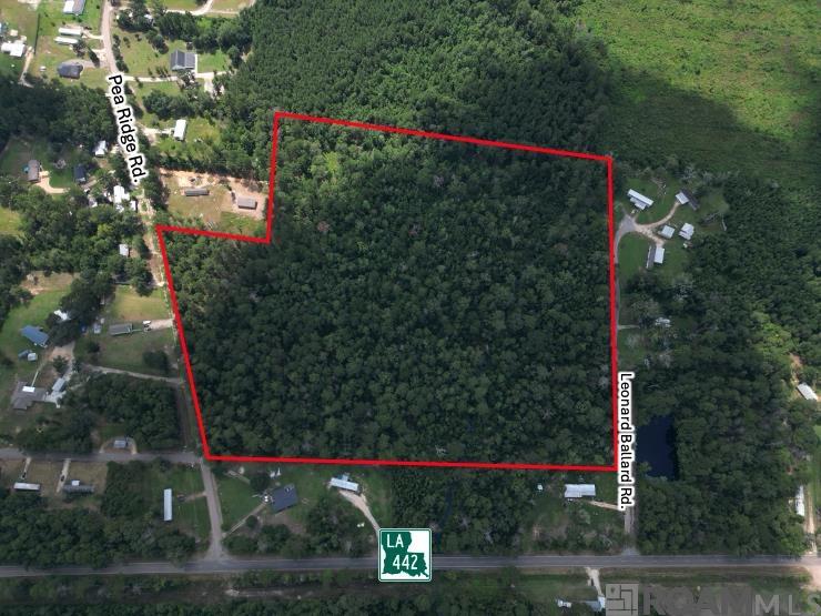 TBD H-6 Pea Ridge Rd, Albany, Louisiana image 3