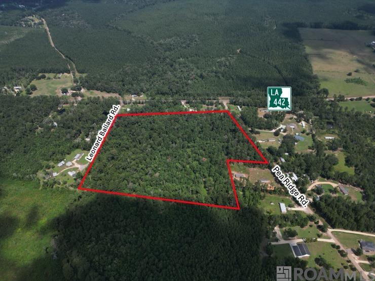 TBD H-6 Pea Ridge Rd, Albany, Louisiana image 4