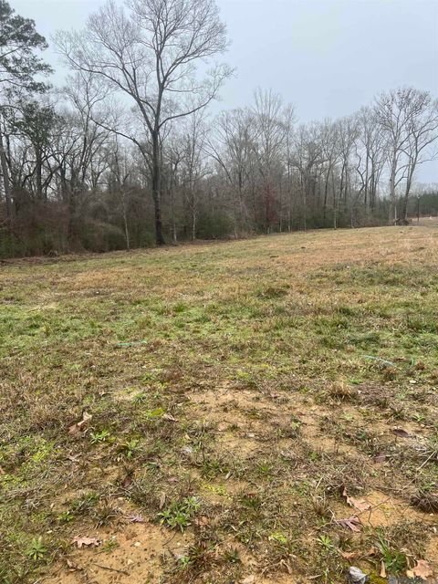 Vacant Land For Sale - 4353 Lower C C Rd<br/> Clinton, LA 70722