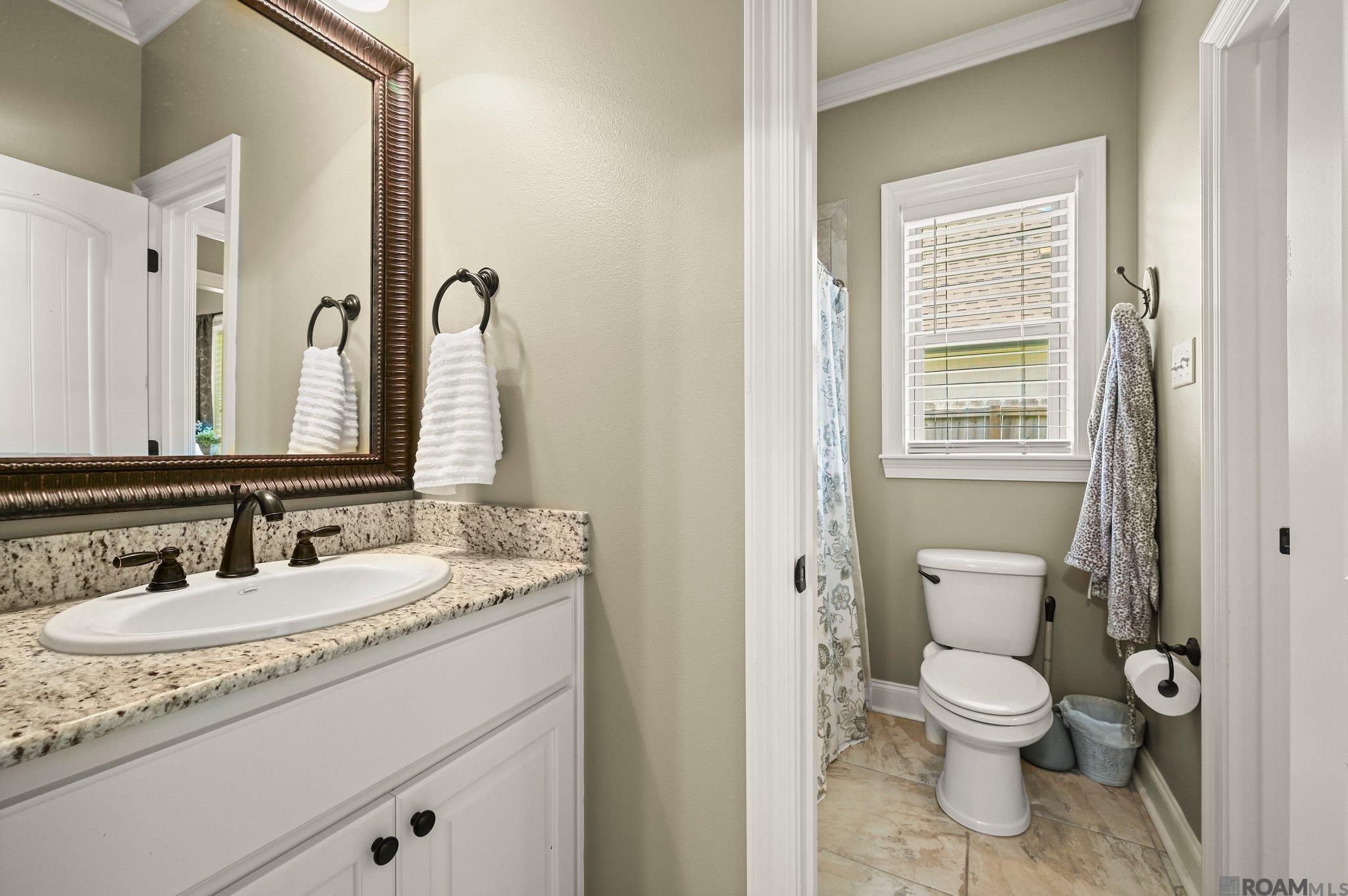 7332 Effie Dr, Denham Springs, Louisiana image 19