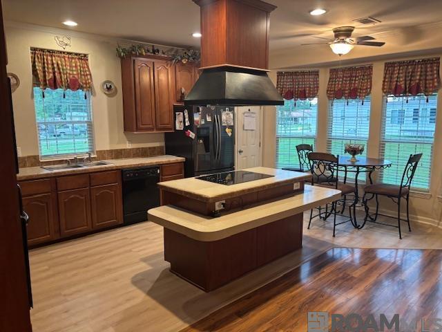 37038 Myerson Ln, Walker, Louisiana image 18