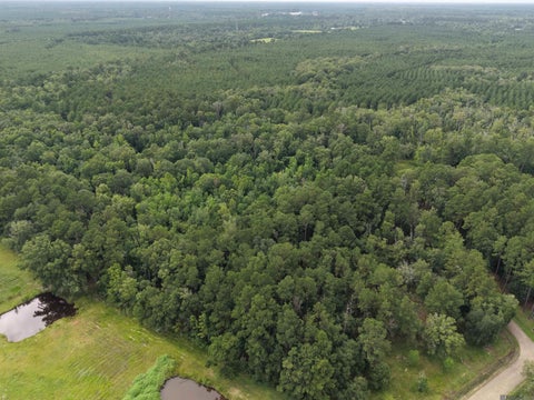 Vacant Land For Sale - 28545 Coker Vail Rd<br/> Livingston County, Holden, LA 70744