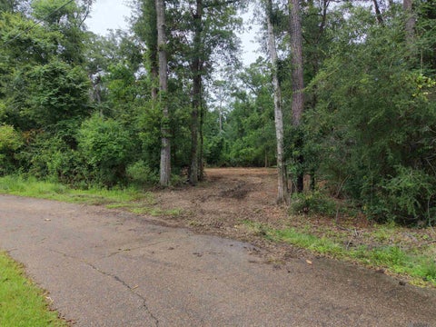 Vacant Land For Sale - TRACT D Joiner Lane<br/> Ponchatoula, LA 70454