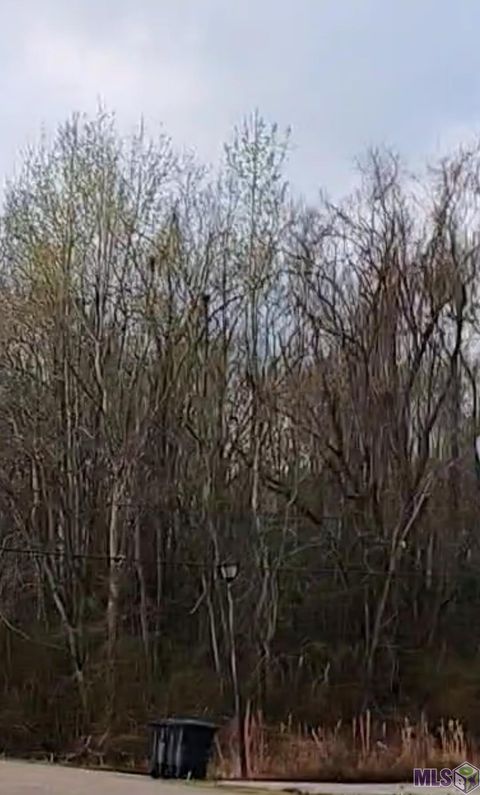 Vacant Land For Sale - LOT 91 Rosario Dr<br/> Baton Rouge, LA 70811