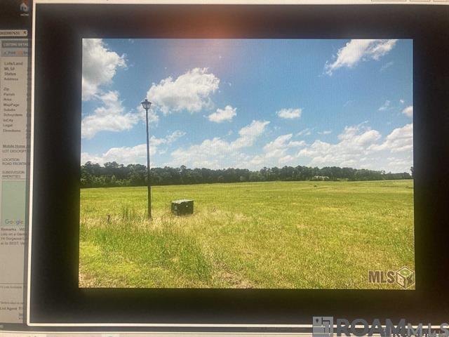 LOT 12 Lower C C Rd, Clinton, Louisiana image 4