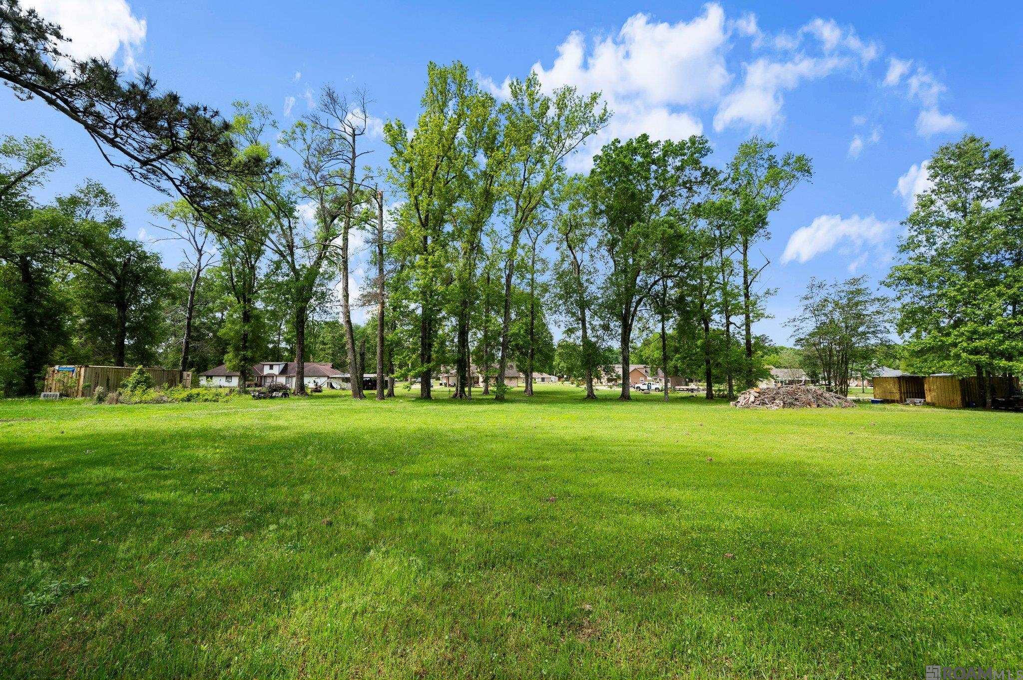 25080 Arlington Ave, Denham Springs, Louisiana image 21