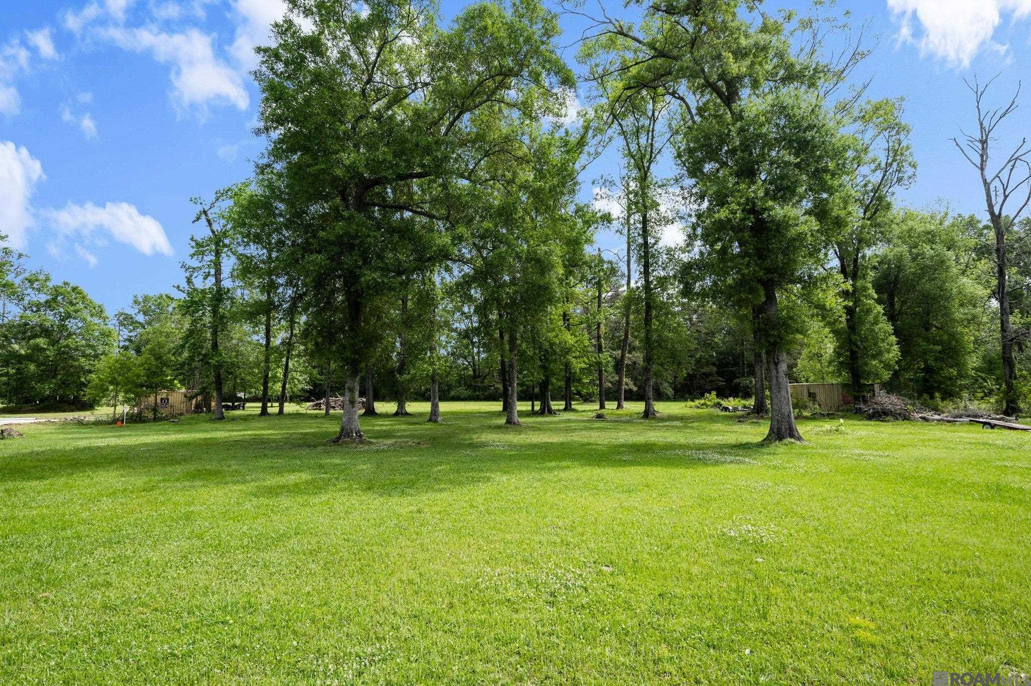 25080 Arlington Ave, Denham Springs, Louisiana image 20