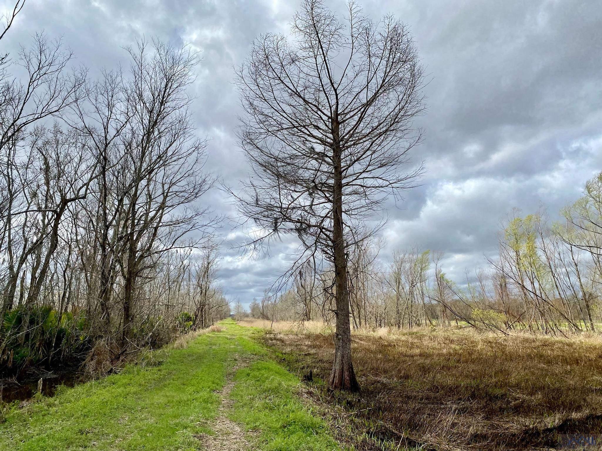 649 Highway 308, Thibodaux, Louisiana image 14