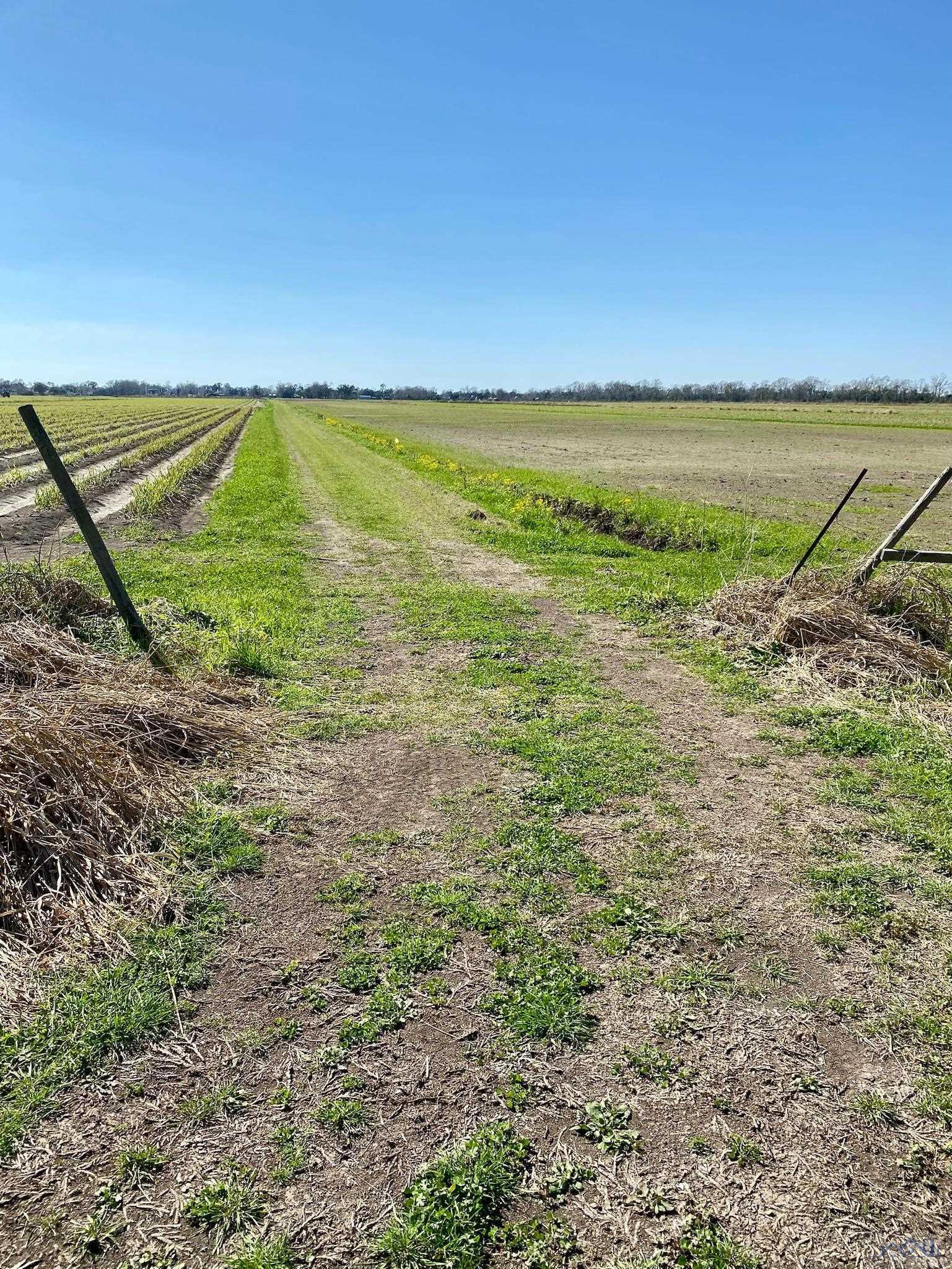 649 Highway 308, Thibodaux, Louisiana image 9