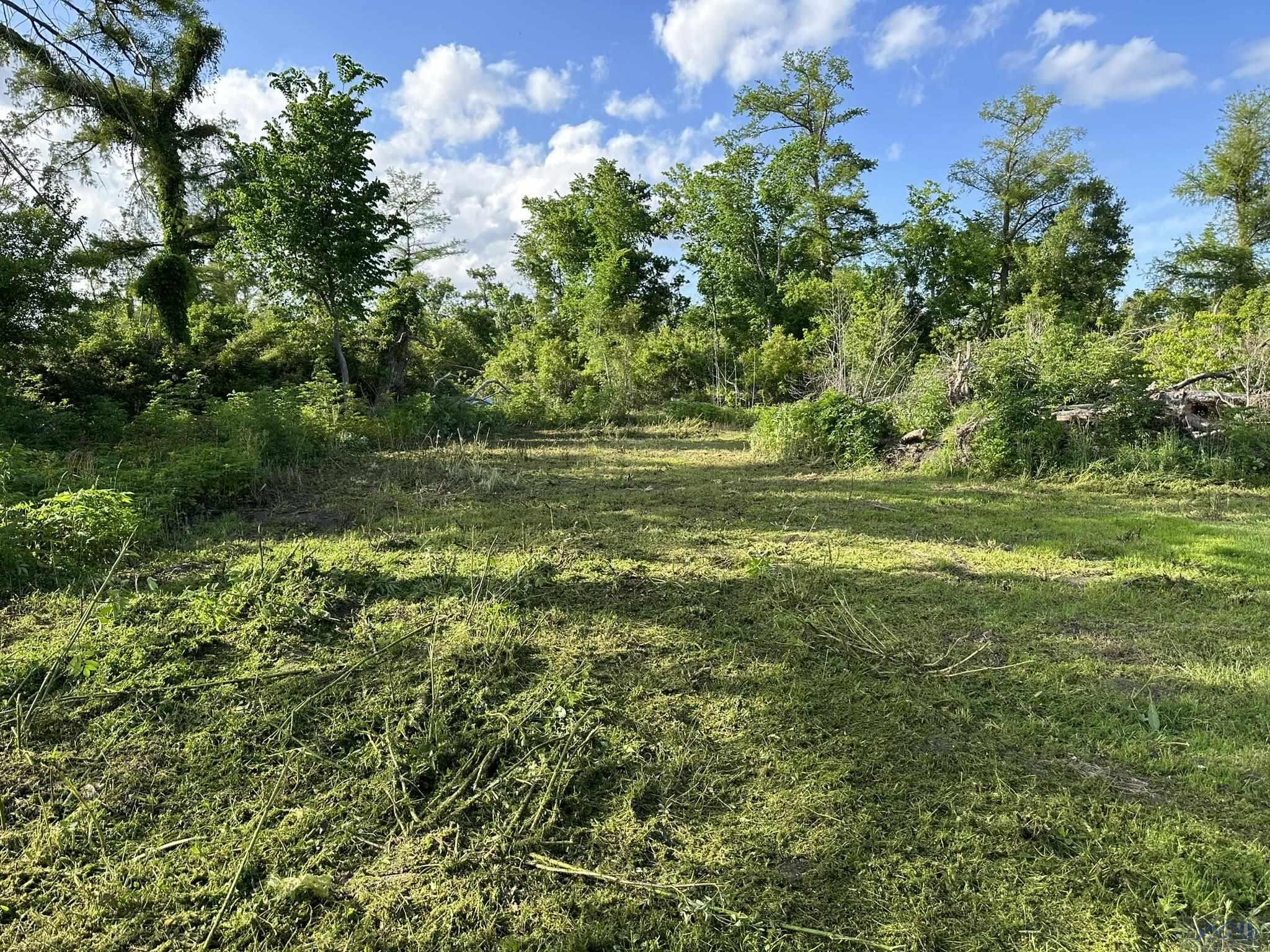 East 39th Street, Cut Off, Louisiana image 3