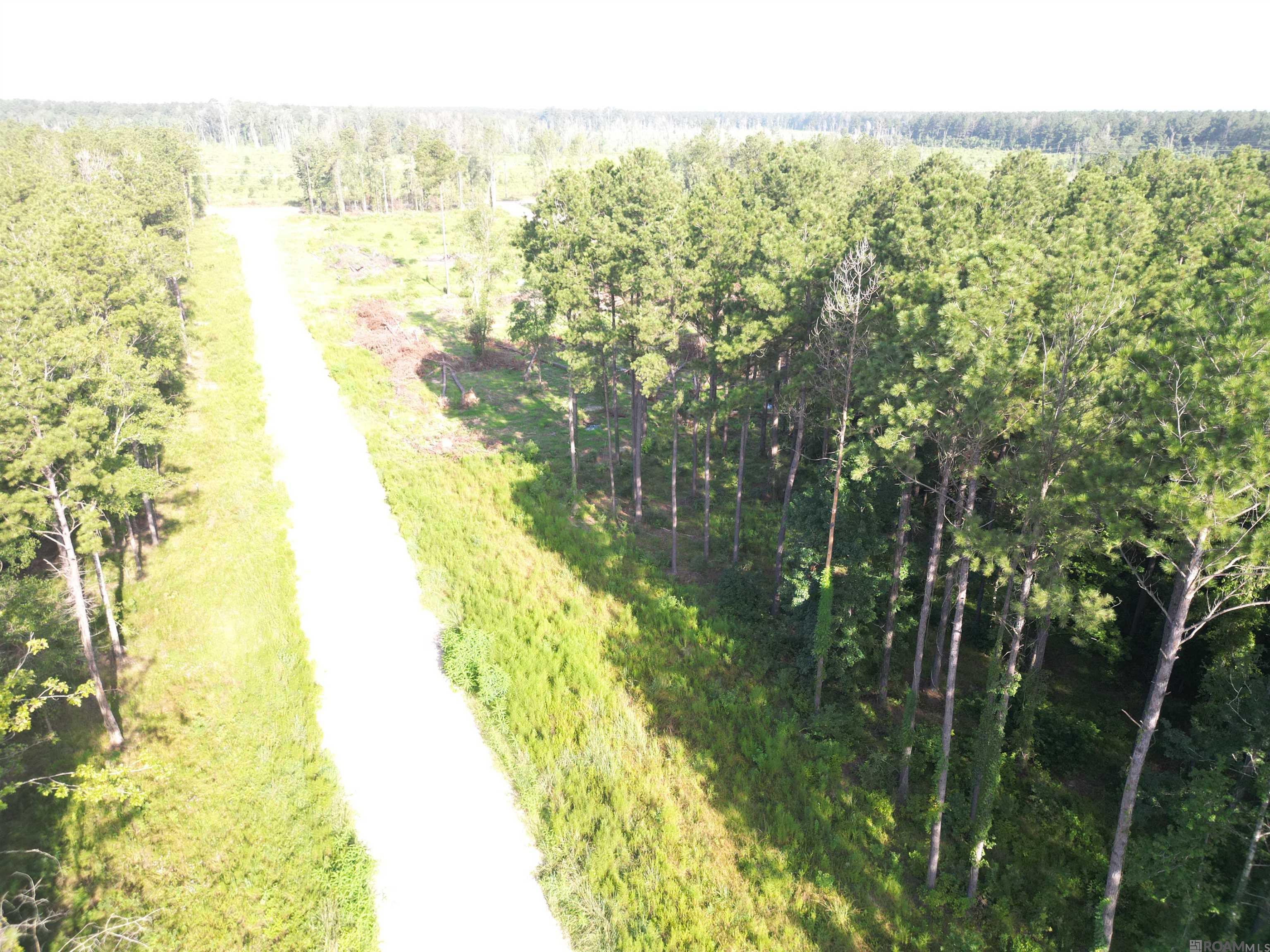 LOT 9 Butterbean Ridge, Livingston, Louisiana image 6