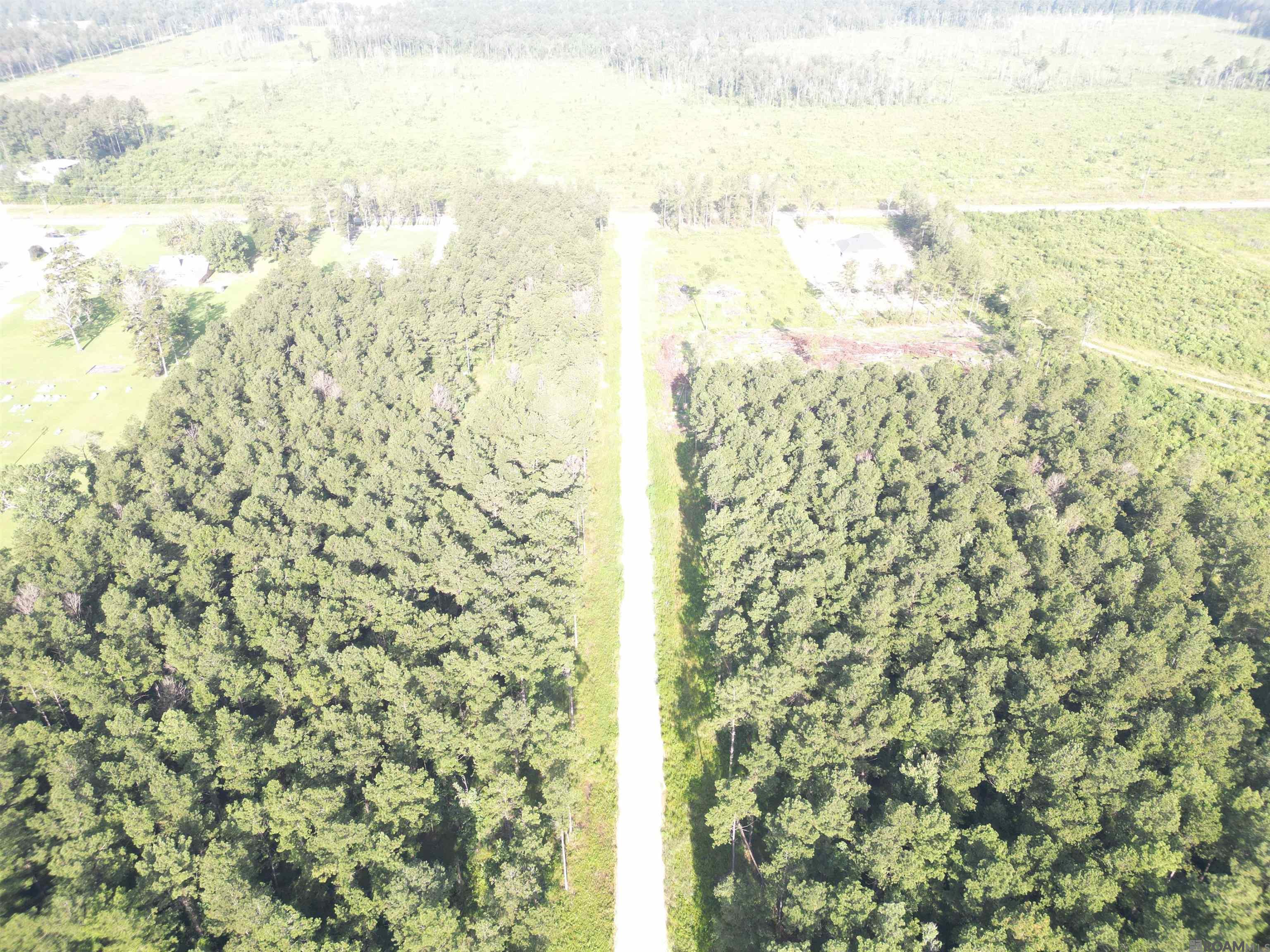 LOT 9 Butterbean Ridge, Livingston, Louisiana image 1