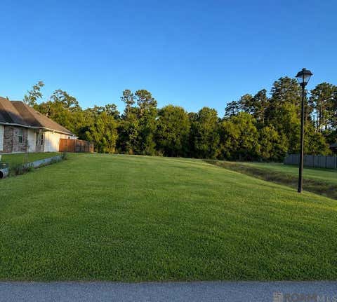 Vacant Land For Sale - 17832 H S Brignac Dr<br/> French Settlement, LA 70733