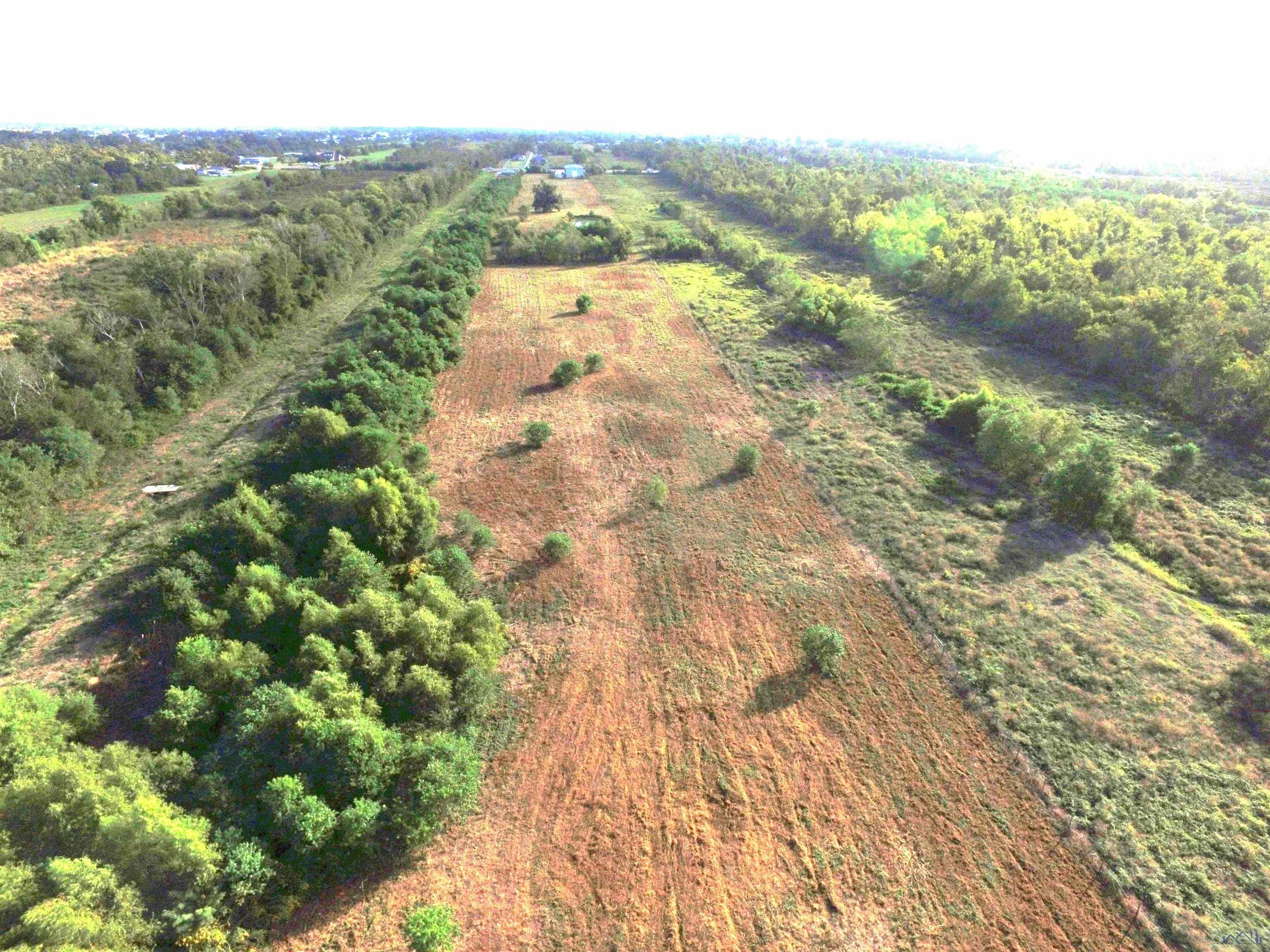 Tract C Hwy 3235 West Side, Cut Off, Louisiana image 3