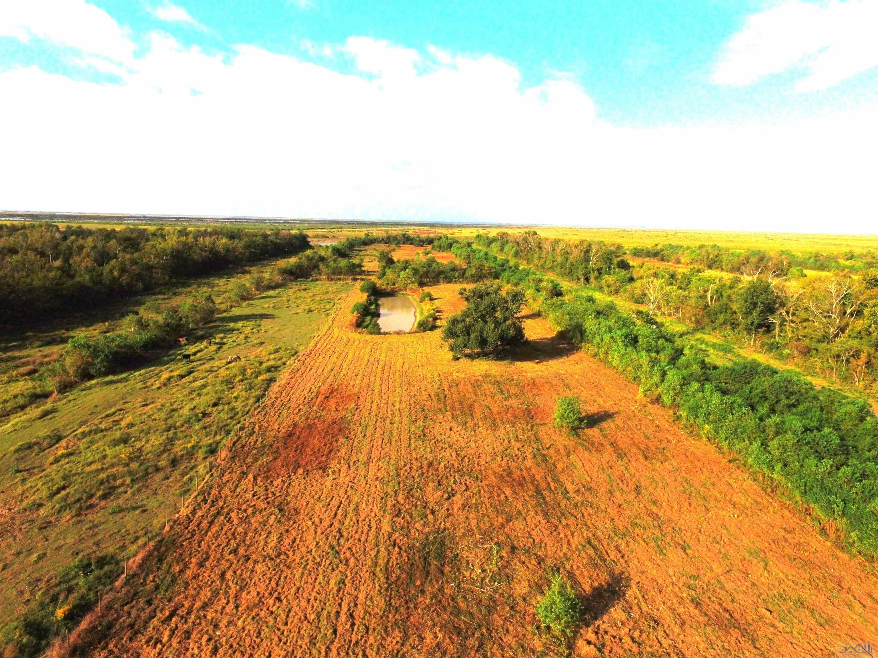 Tract C Hwy 3235 West Side, Cut Off, Louisiana image 6