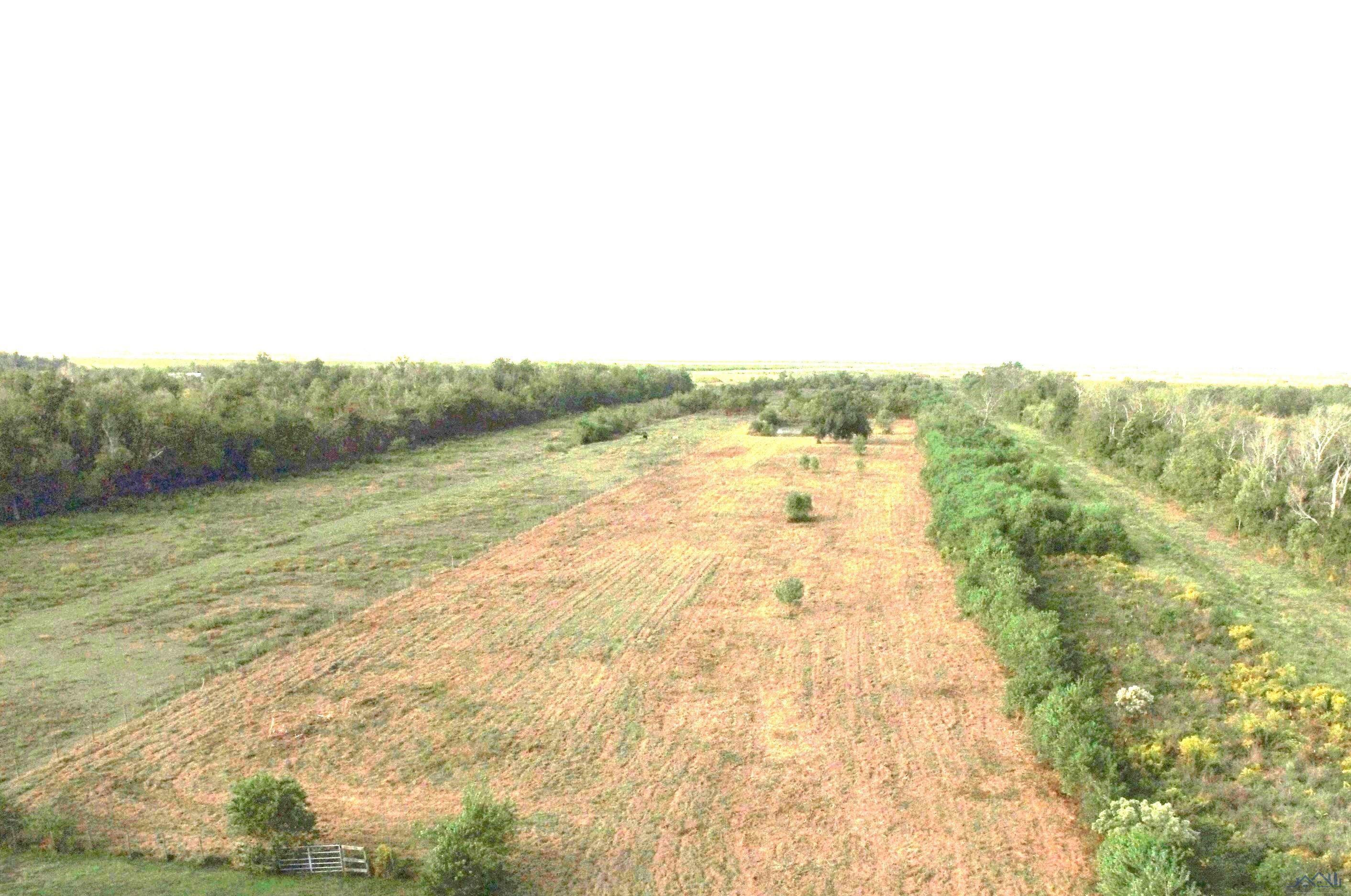 Tract C Hwy 3235 West Side, Cut Off, Louisiana image 1