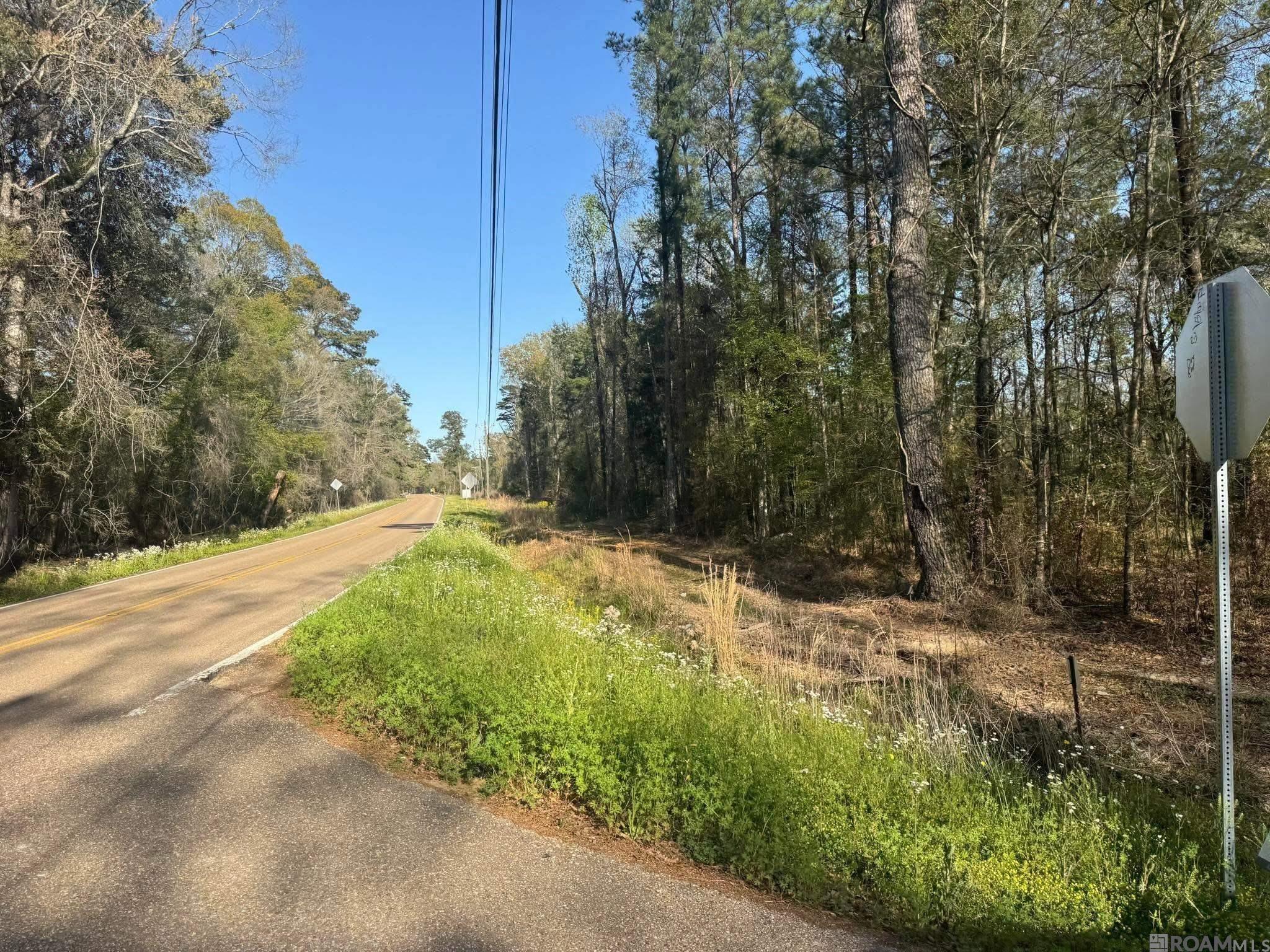 TBD-PIC 1 Charles Holden Rd, Holden, Louisiana image 2