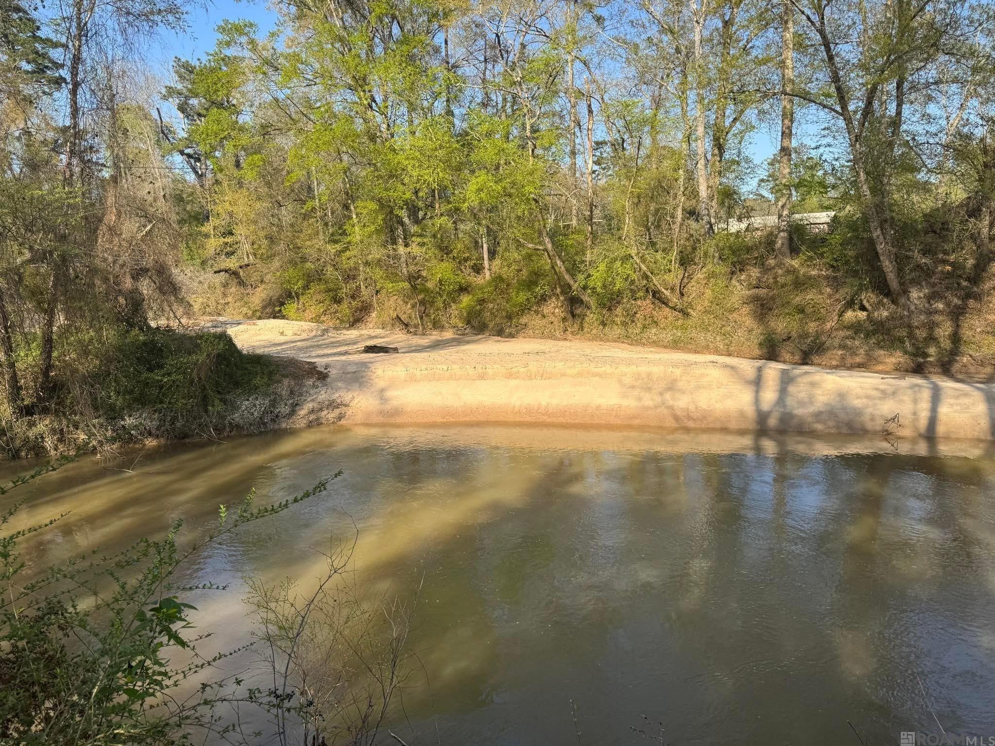 TBD-PIC 1 Charles Holden Rd, Holden, Louisiana image 3