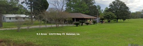 Vacant Land For Sale - 12172 La Hwy 73<br/> Ascension County, Geismar, LA 70734