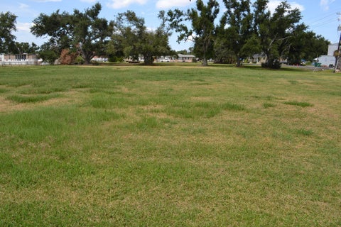 Vacant Land For Sale - LOT 2 Oakridge Dr<br/> Golden Meadow, LA 70357