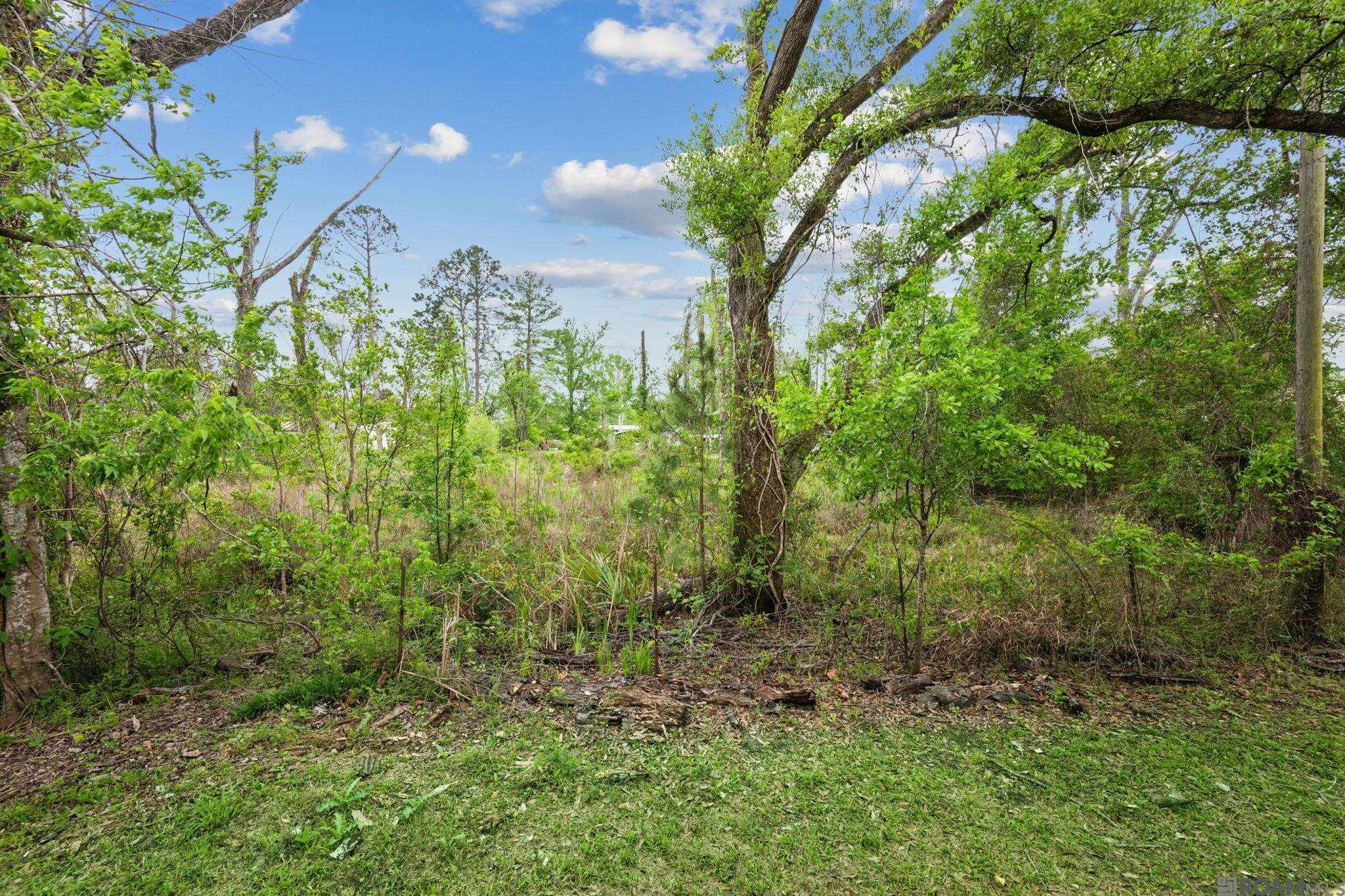 21328 Highway 22, Maurepas, Louisiana image 10