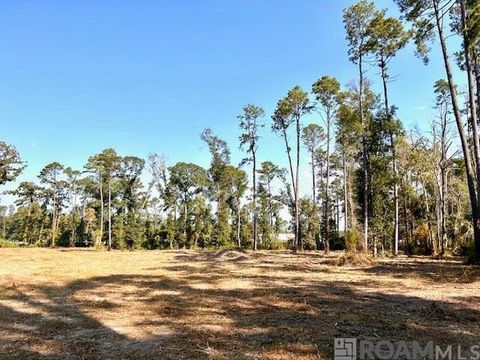 Vacant Land For Sale - TBD Catholic Hall Rd<br/> Albany, LA 70711