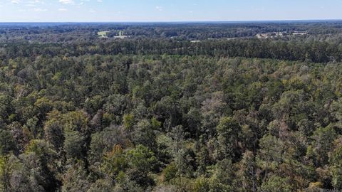 Vacant Land For Sale - TBD La Hwy 63<br/> Clinton, LA 70722