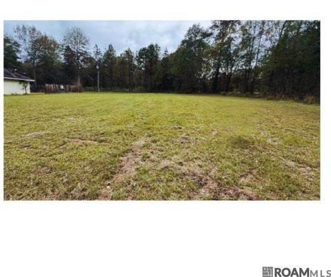 Vacant Land For Sale - TBD Felix Lee Rd<br/> Ethel, LA 70737