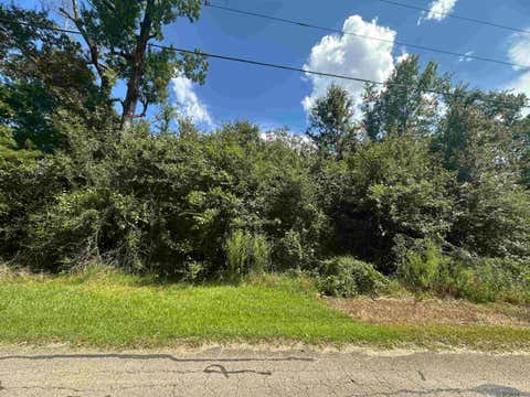 Vacant Land For Sale - LOT 23-A Gunboat Island Cir<br/> Livingston County, Maurepas, LA 70449
