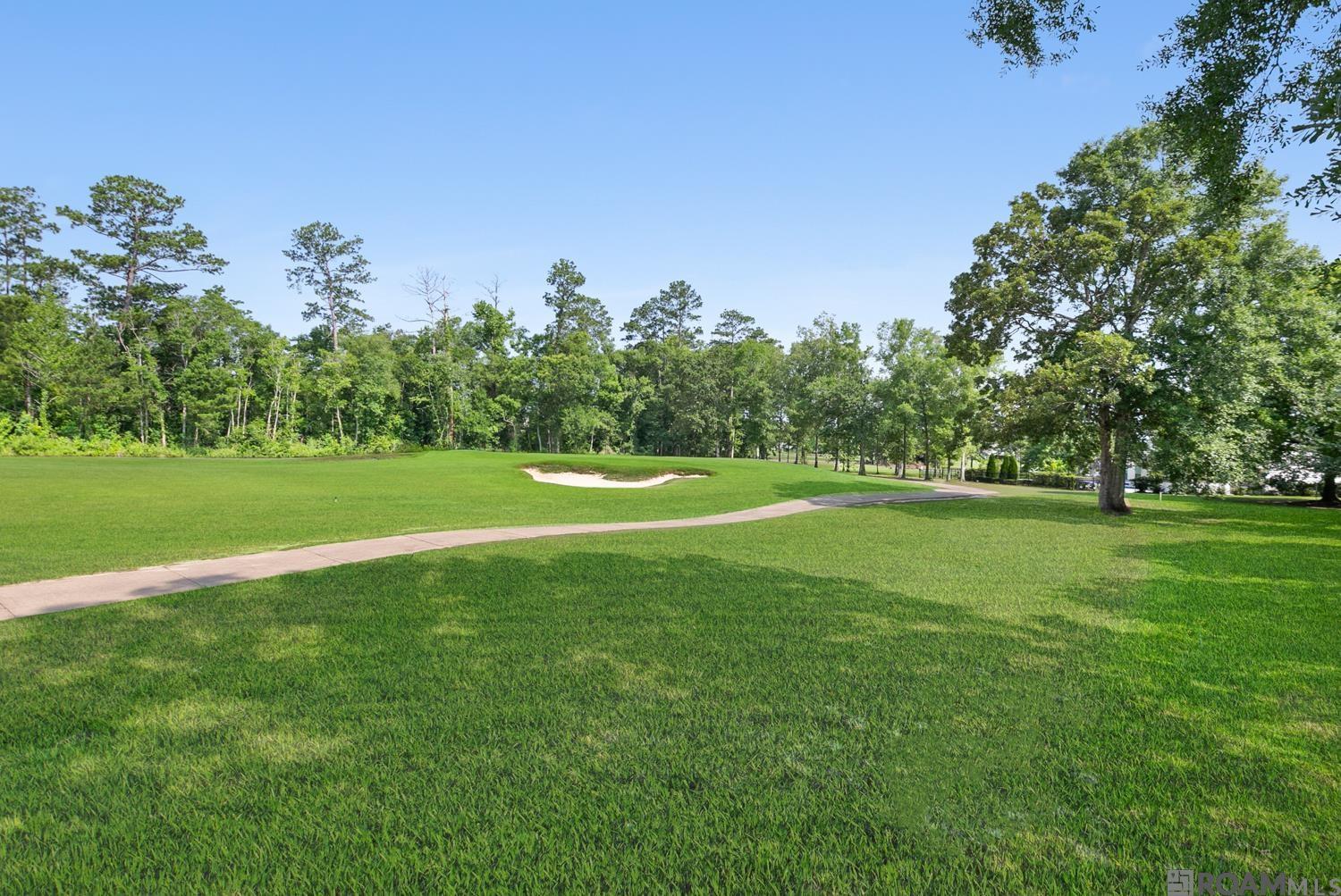 23815 Monarch Point, Springfield, Louisiana image 19