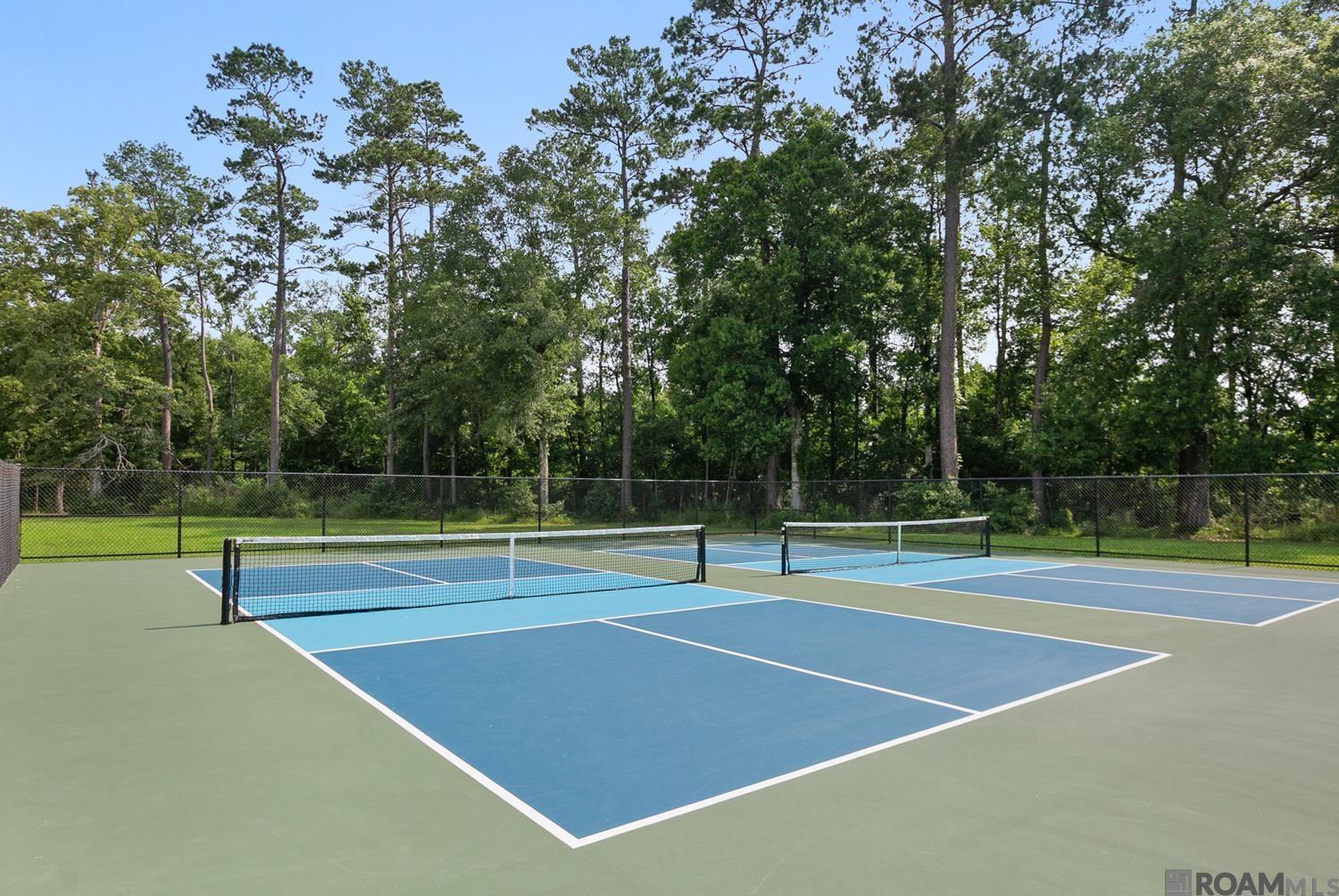 23815 Monarch Point, Springfield, Louisiana image 21