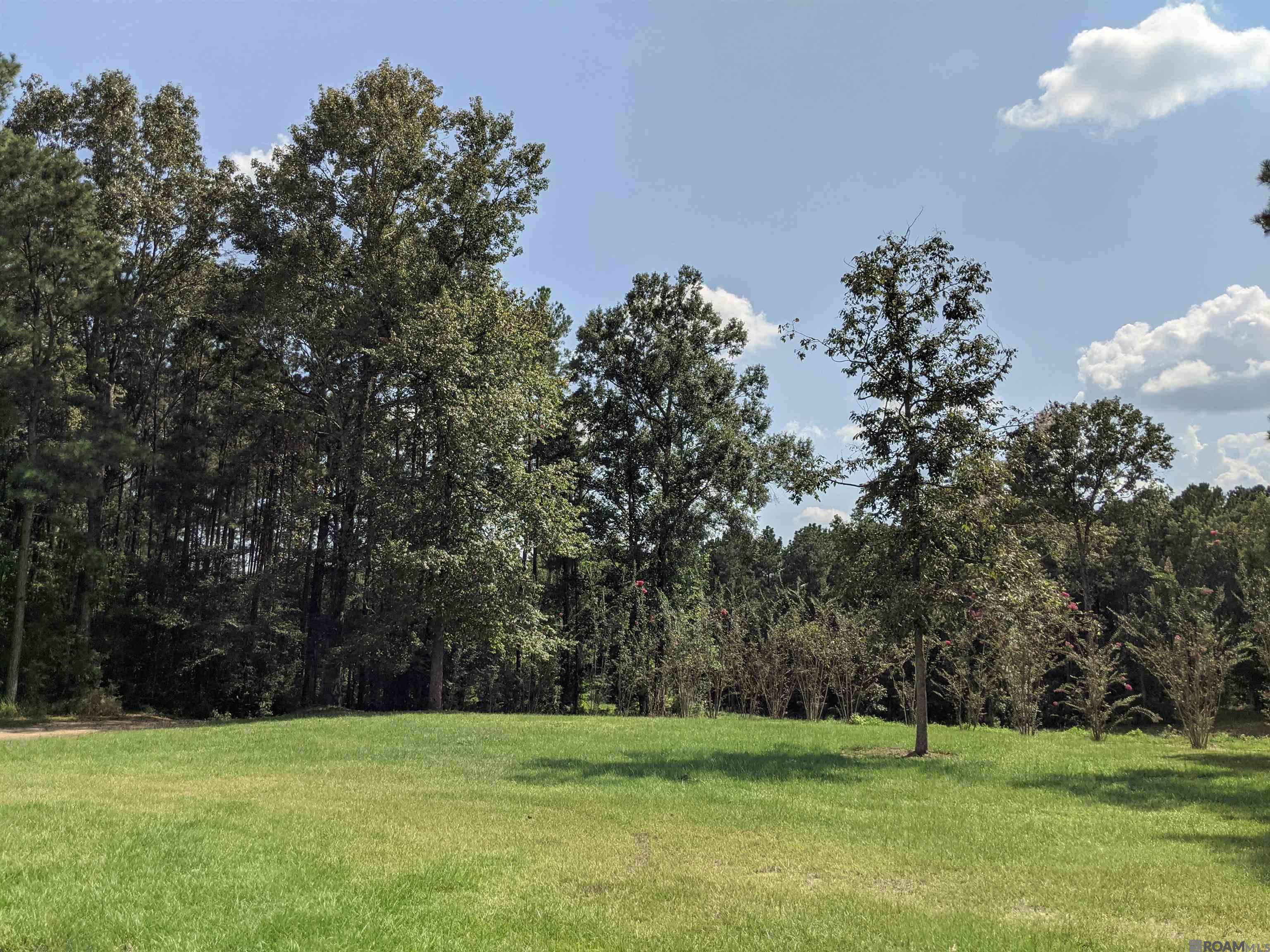 4855 La Hwy 952, Jackson, Louisiana image 20