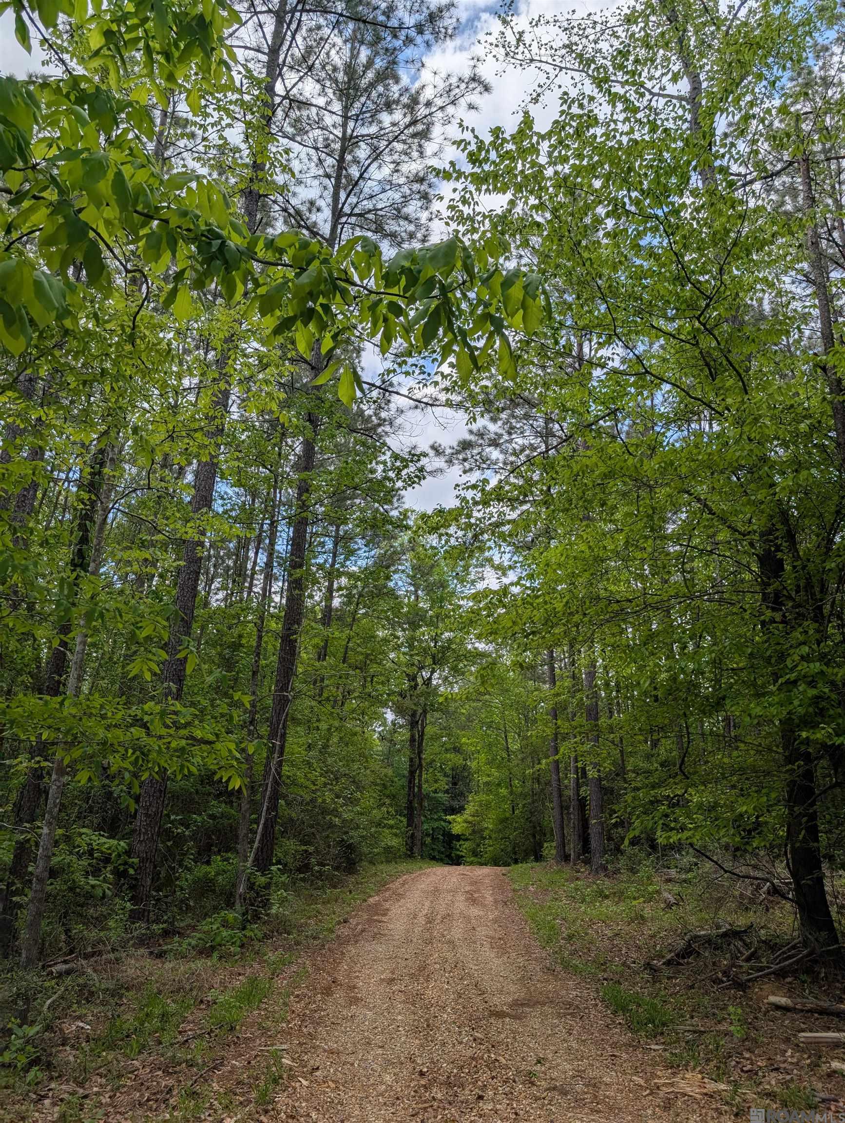 4855 La Hwy 952, Jackson, Louisiana image 32
