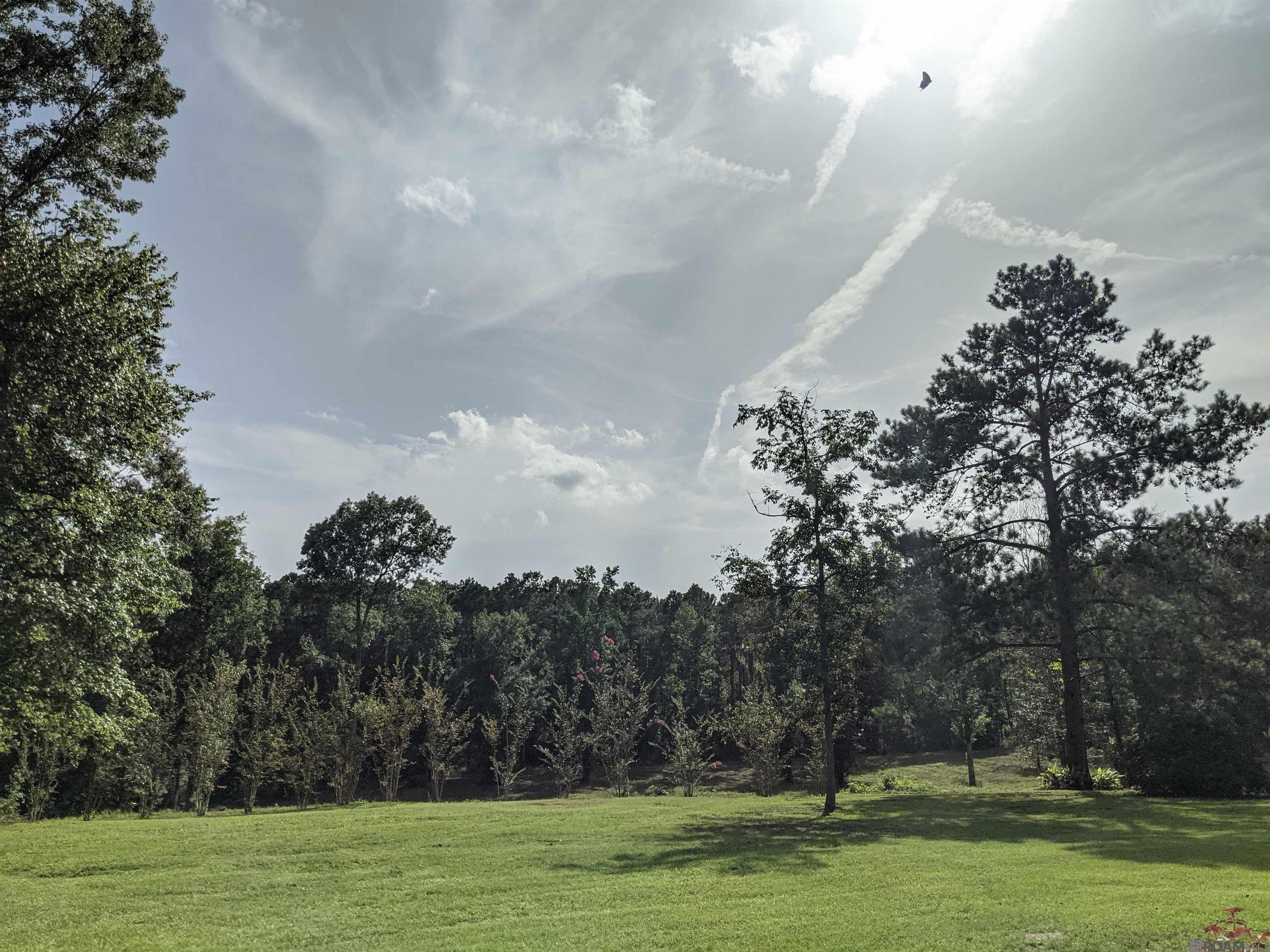 4855 La Hwy 952, Jackson, Louisiana image 4
