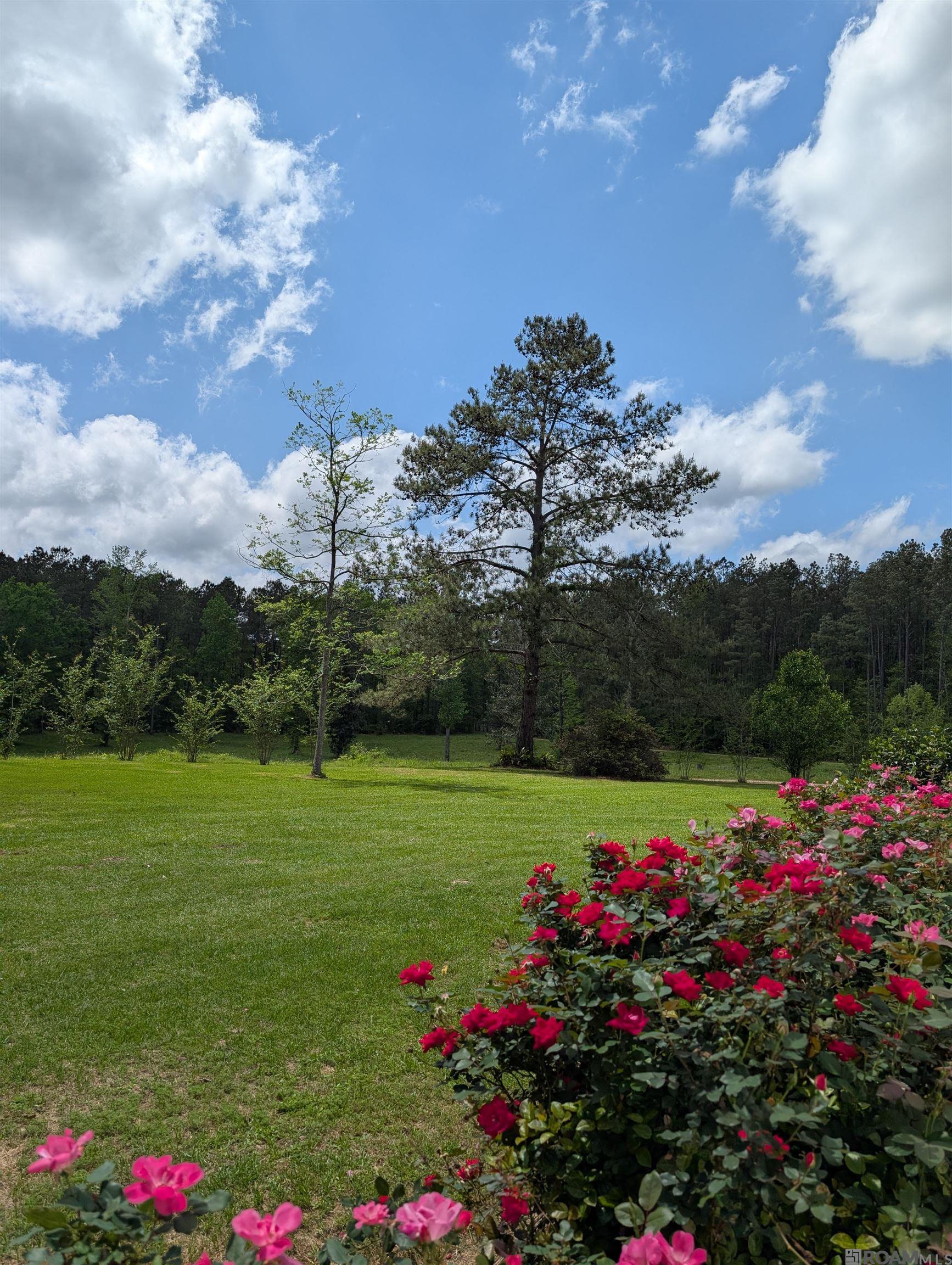 4855 La Hwy 952, Jackson, Louisiana image 6