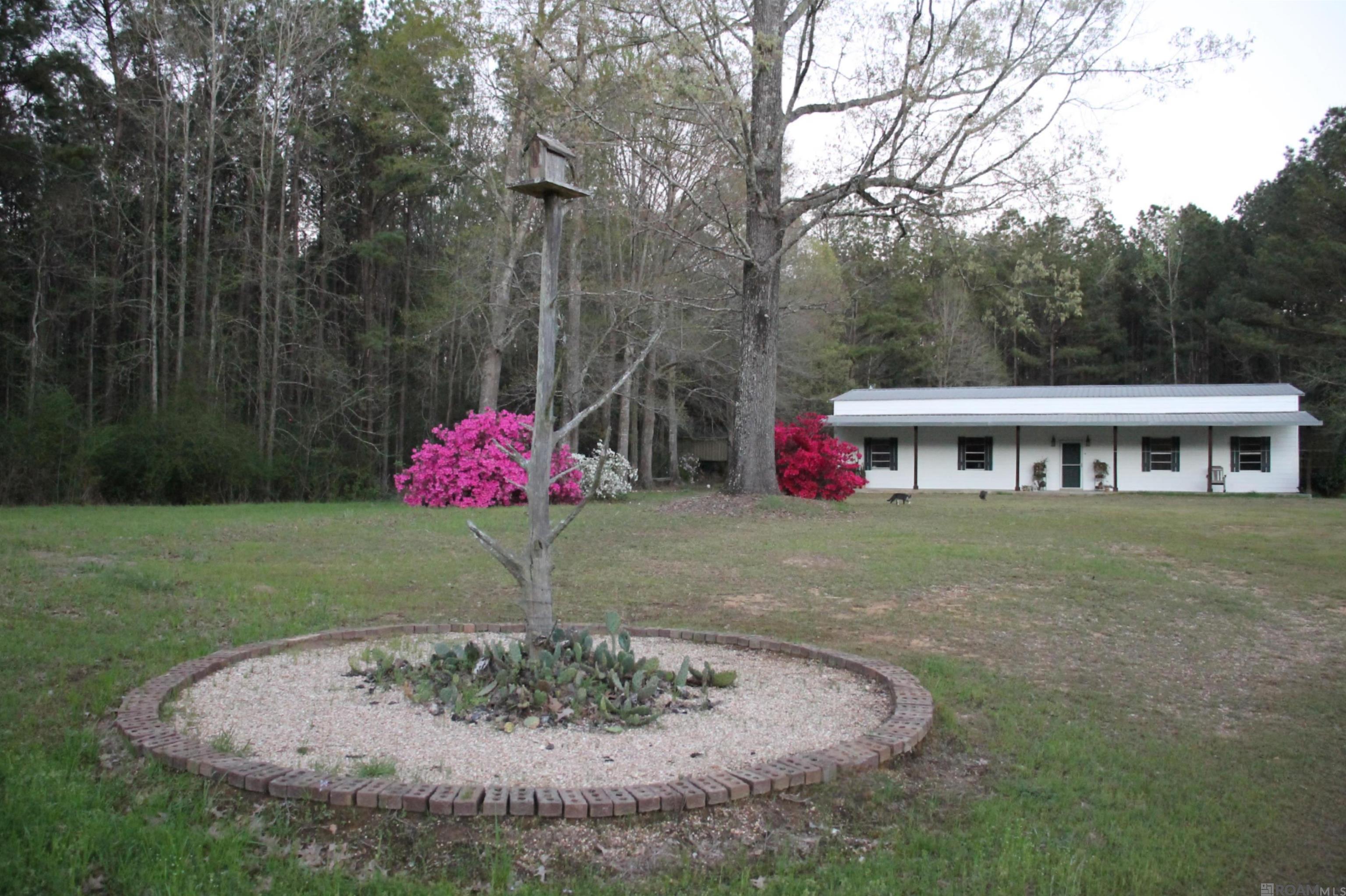 4855 La Hwy 952, Jackson, Louisiana image 21