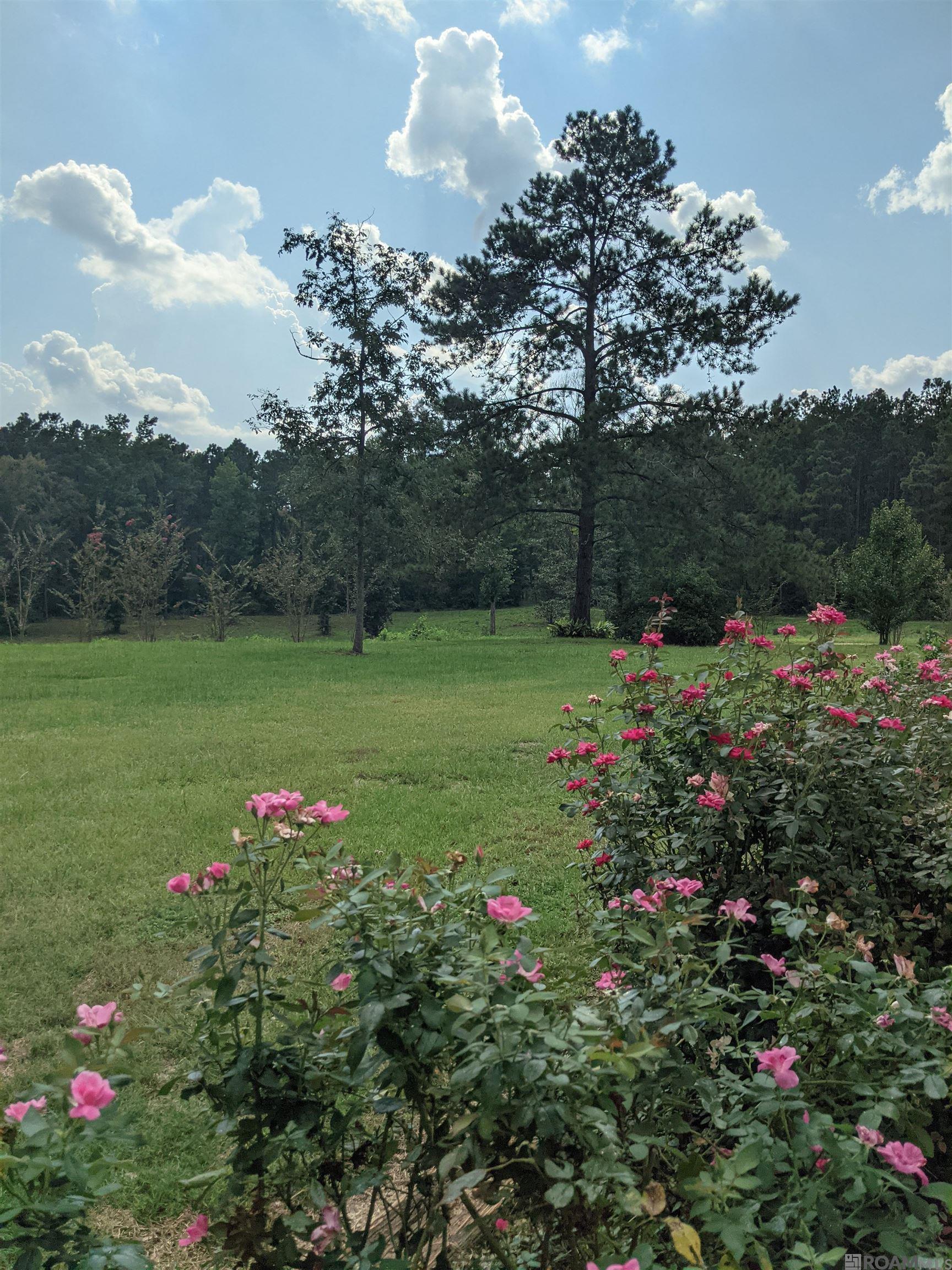 4855 La Hwy 952, Jackson, Louisiana image 19
