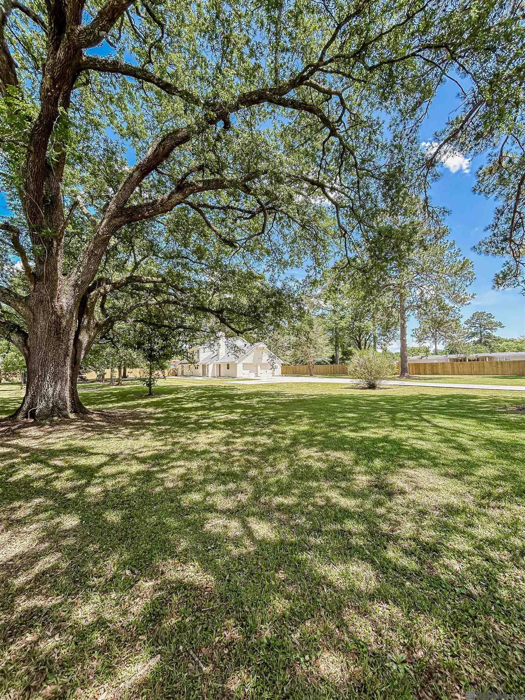 12354 Rue De Le Bois Rd, Gonzales, Louisiana image 4