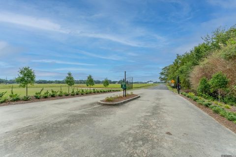 Vacant Land For Sale - 15 Buddy Gore Rd<br/> Ascension County, Gonzales, LA 70737