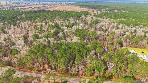 Vacant Land For Sale - TBD Hwy 449 Highway<br/> Saint Helena County, Pine Grove, LA 70453